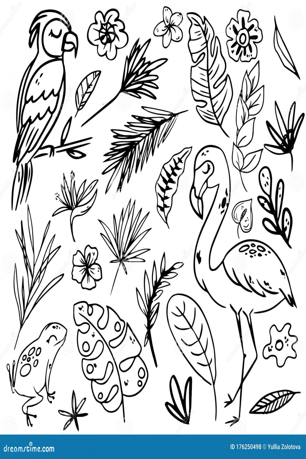 Set of Abstract Simple Line Doodle Hand Draw Tropical Jungle