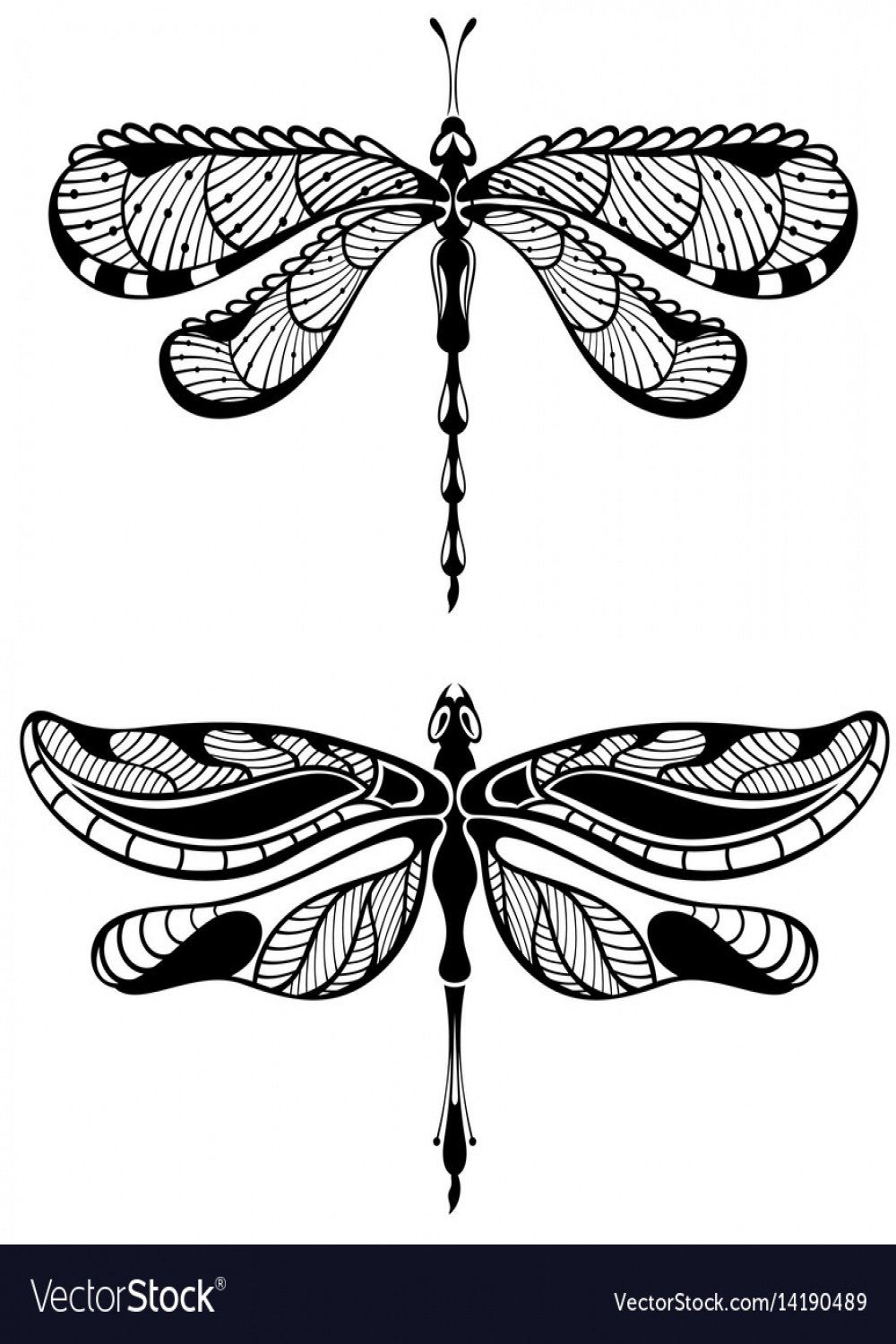 Set of dragonfly Royalty Free Vector Image - VectorStock