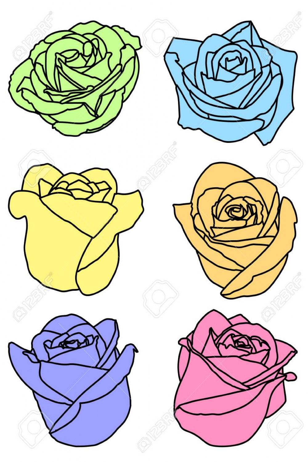 Set Six Multi Colors Rose Buds Different Angle View Royalty Free
