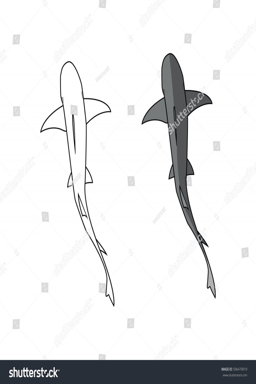 Shark Top View Vector Illustration Stock Vector (Royalty Free