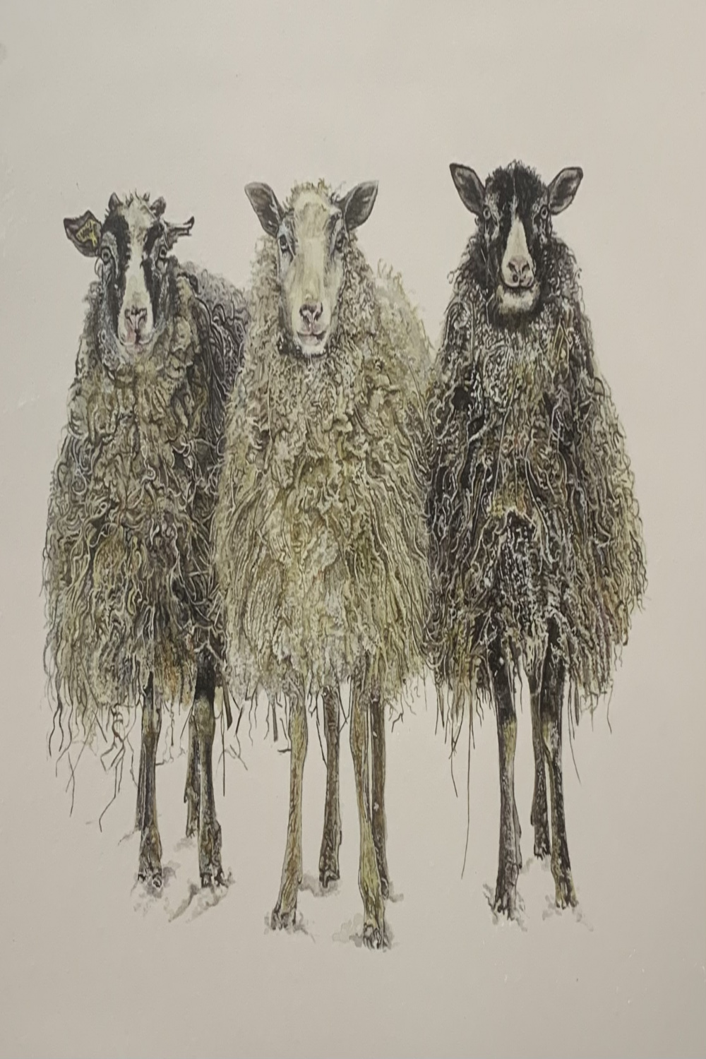Sheep (Unframed) - Maná Art Gallery