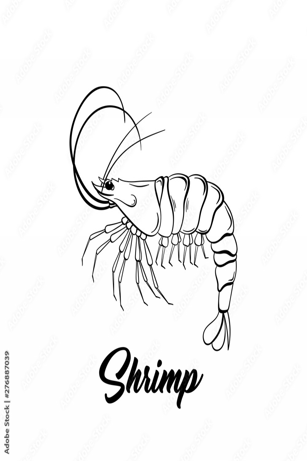 Shrimp black and white vector illustration