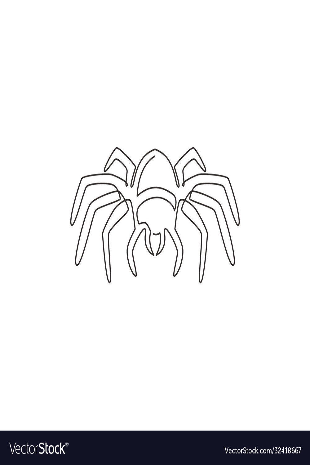 Single continuous line drawing big wild spider Vector Image