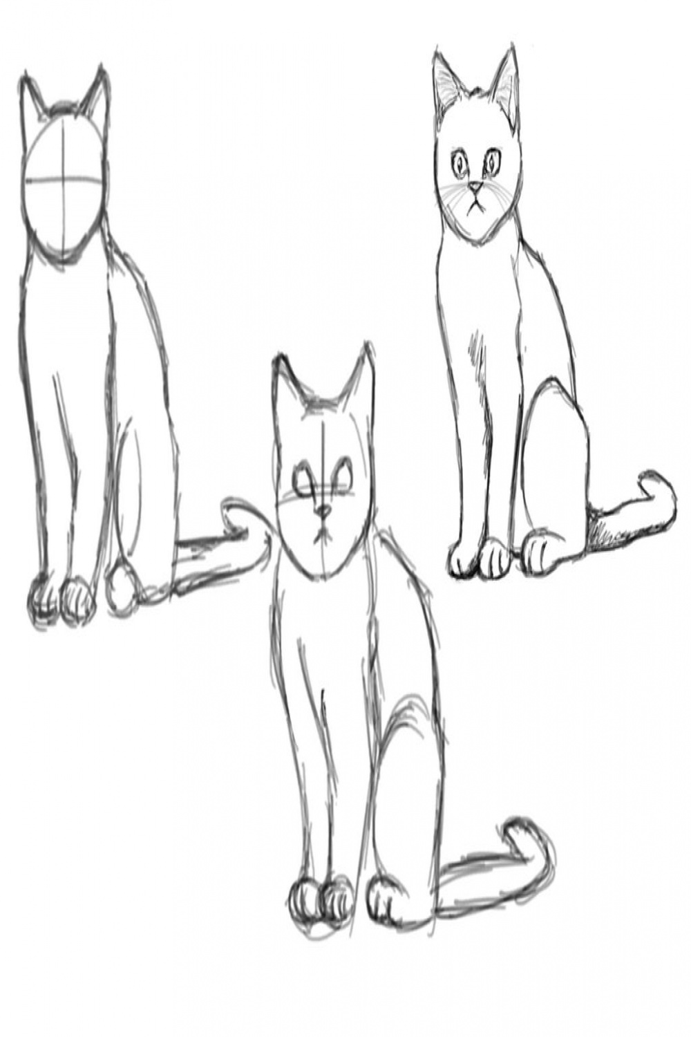 Sitting Cat - Iterative Drawing by Drawing-Diversions on DeviantArt