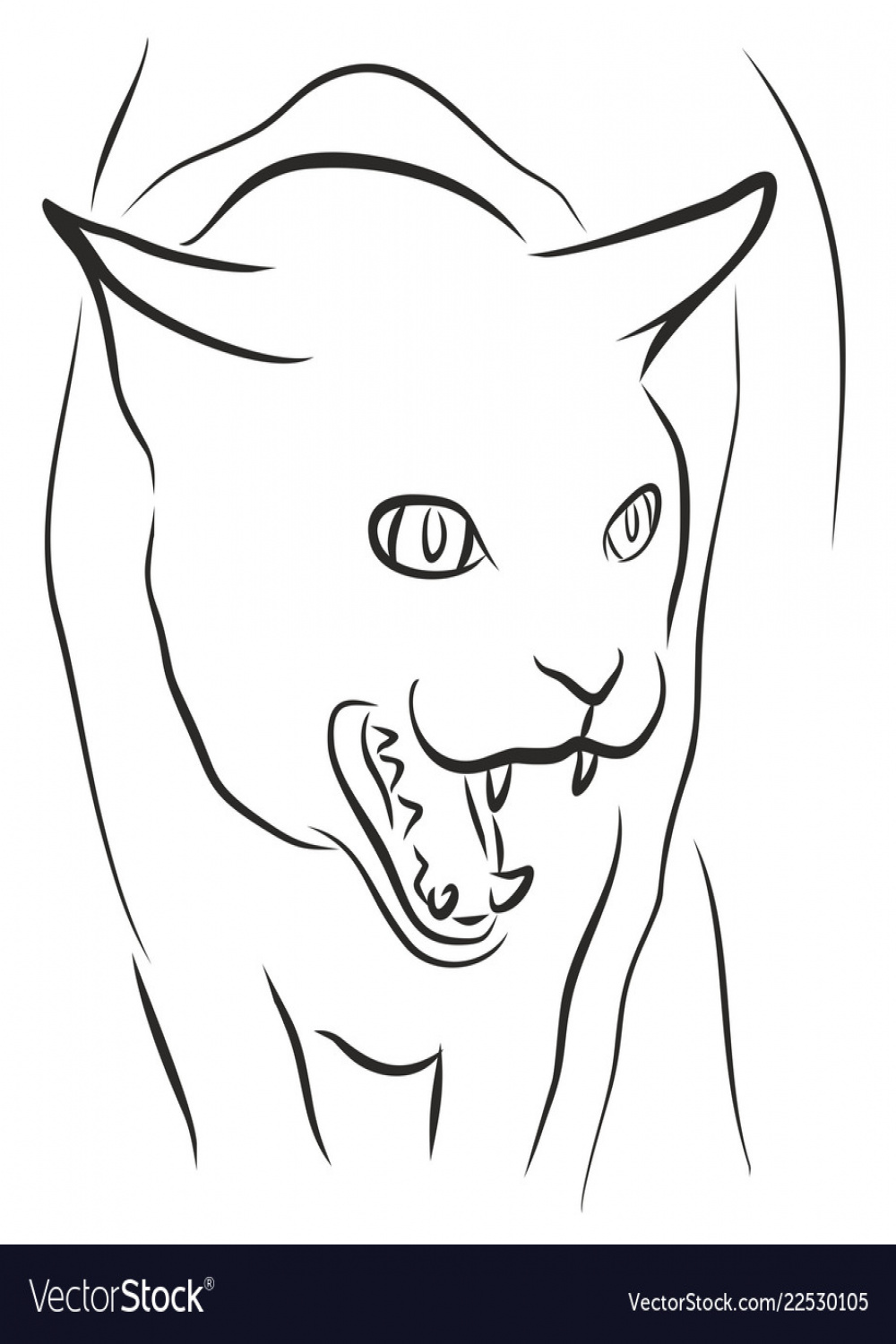 Sketch of angry cat Royalty Free Vector Image - VectorStock