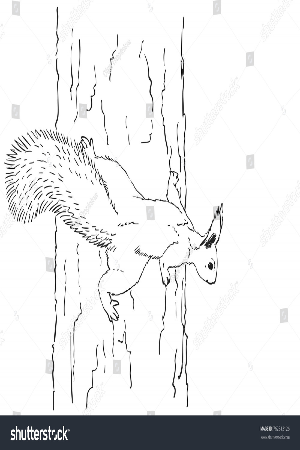 Sketch Squirrel Climbing On Tree Trunk Stock Vector (Royalty Free
