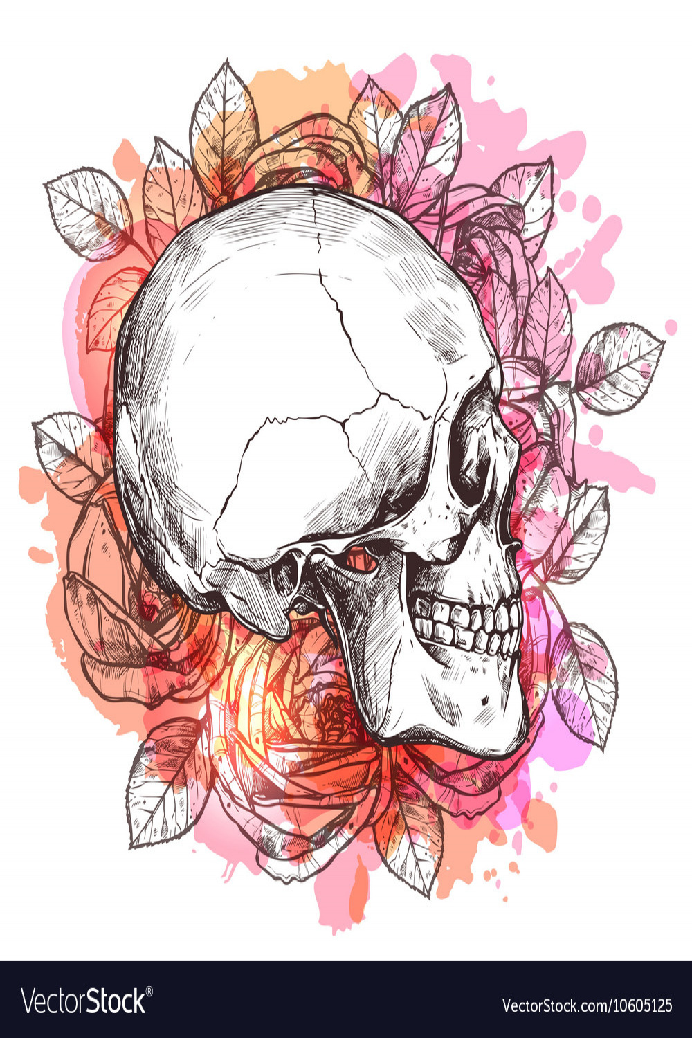 Skull and flowers hand drawn sketch Royalty Free Vector