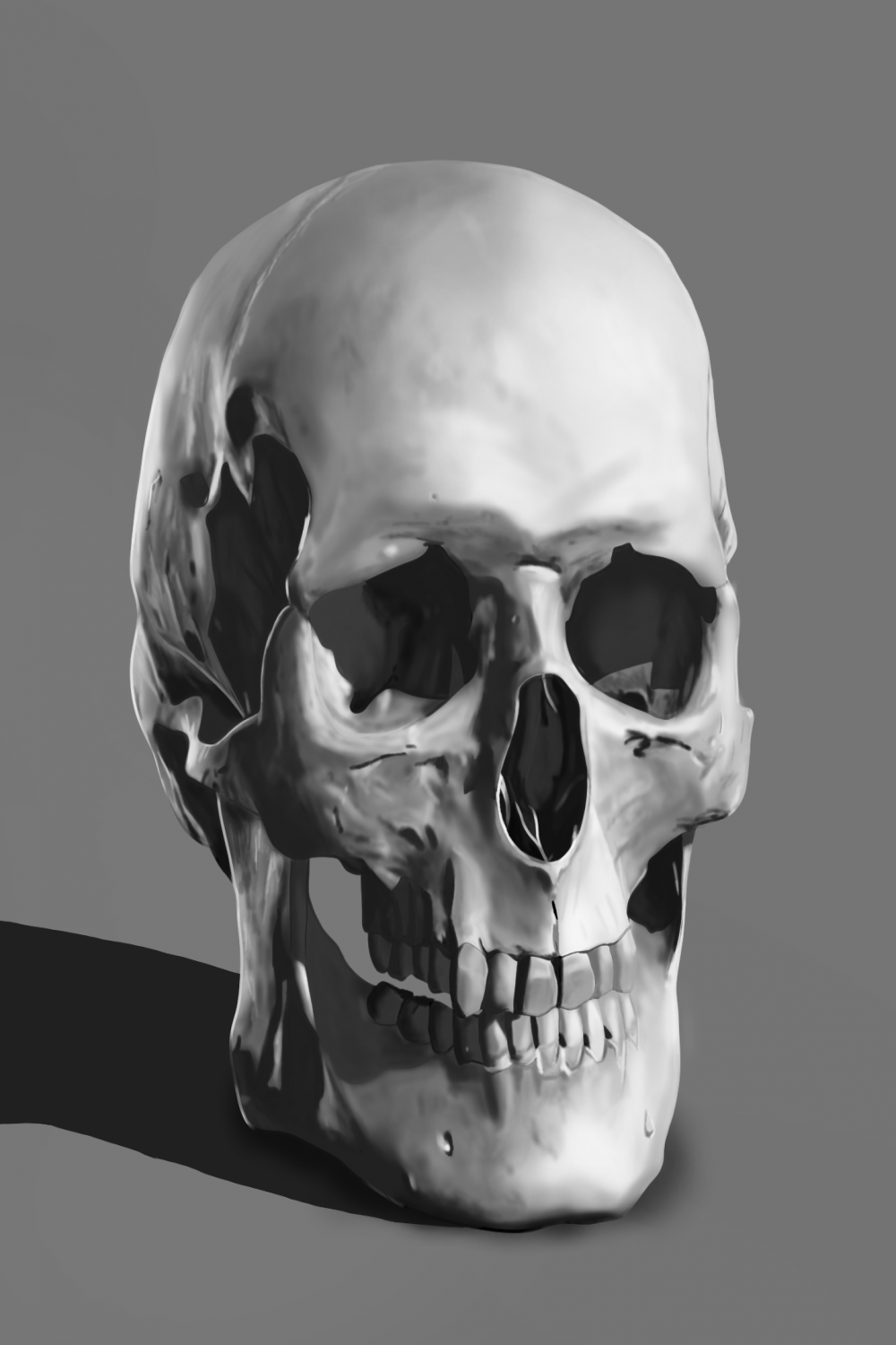 Skull #black and #grey #study #illustration