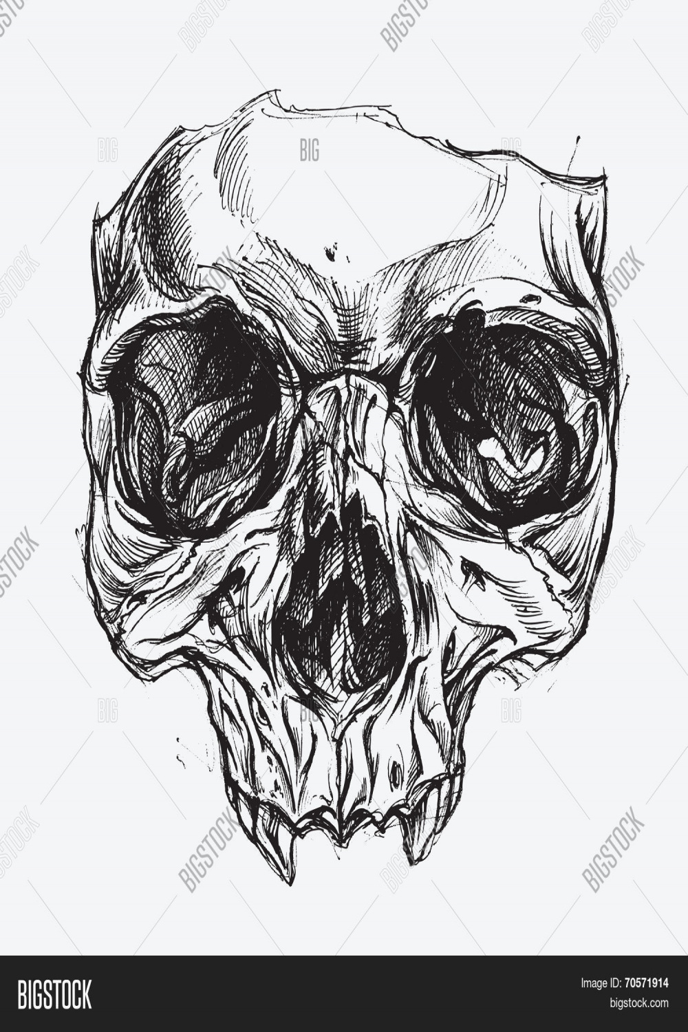 Skull Mask Vector & Photo (Free Trial)  Bigstock