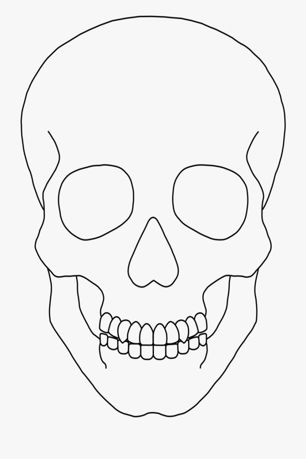 Skull Outline Clip Art - Simple Human Skull Drawing is popular png