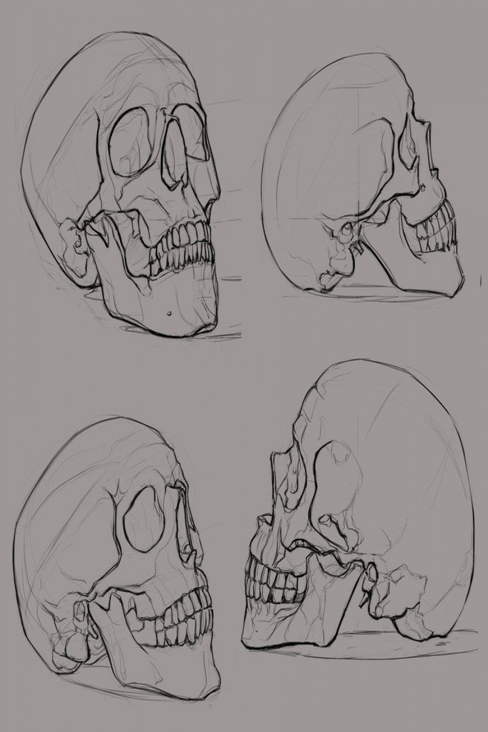 skull_sketches_  Sketches, Skull sketch, Drawings