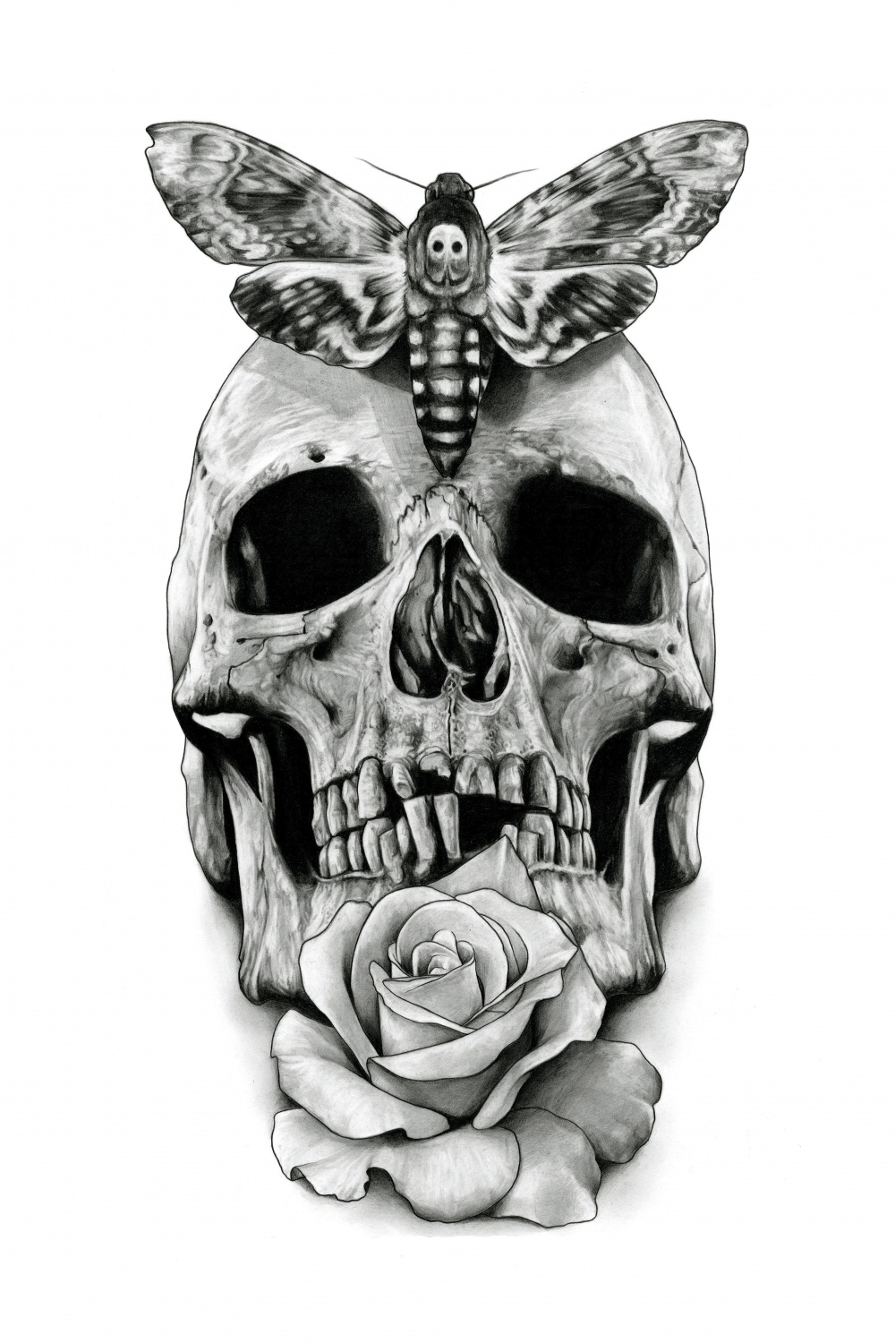 Skull Tattoo design drawing by AaronKingIllustrator on DeviantArt