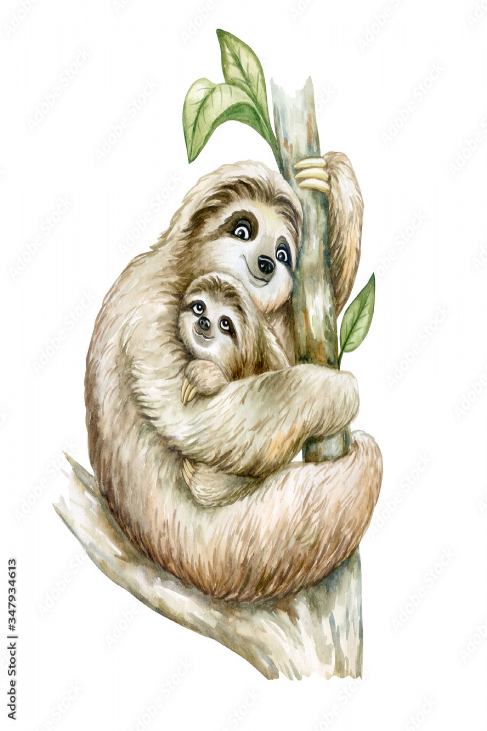 Sloth