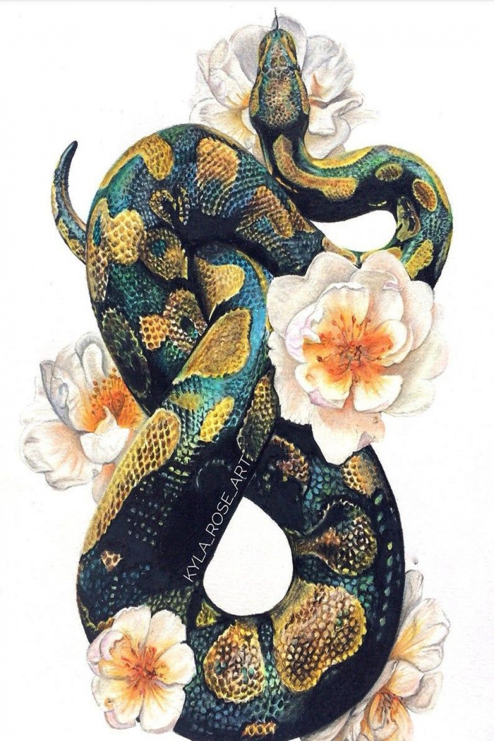 Snake Art Print - Etsy UK  Snake drawing, Snake art, Art prints