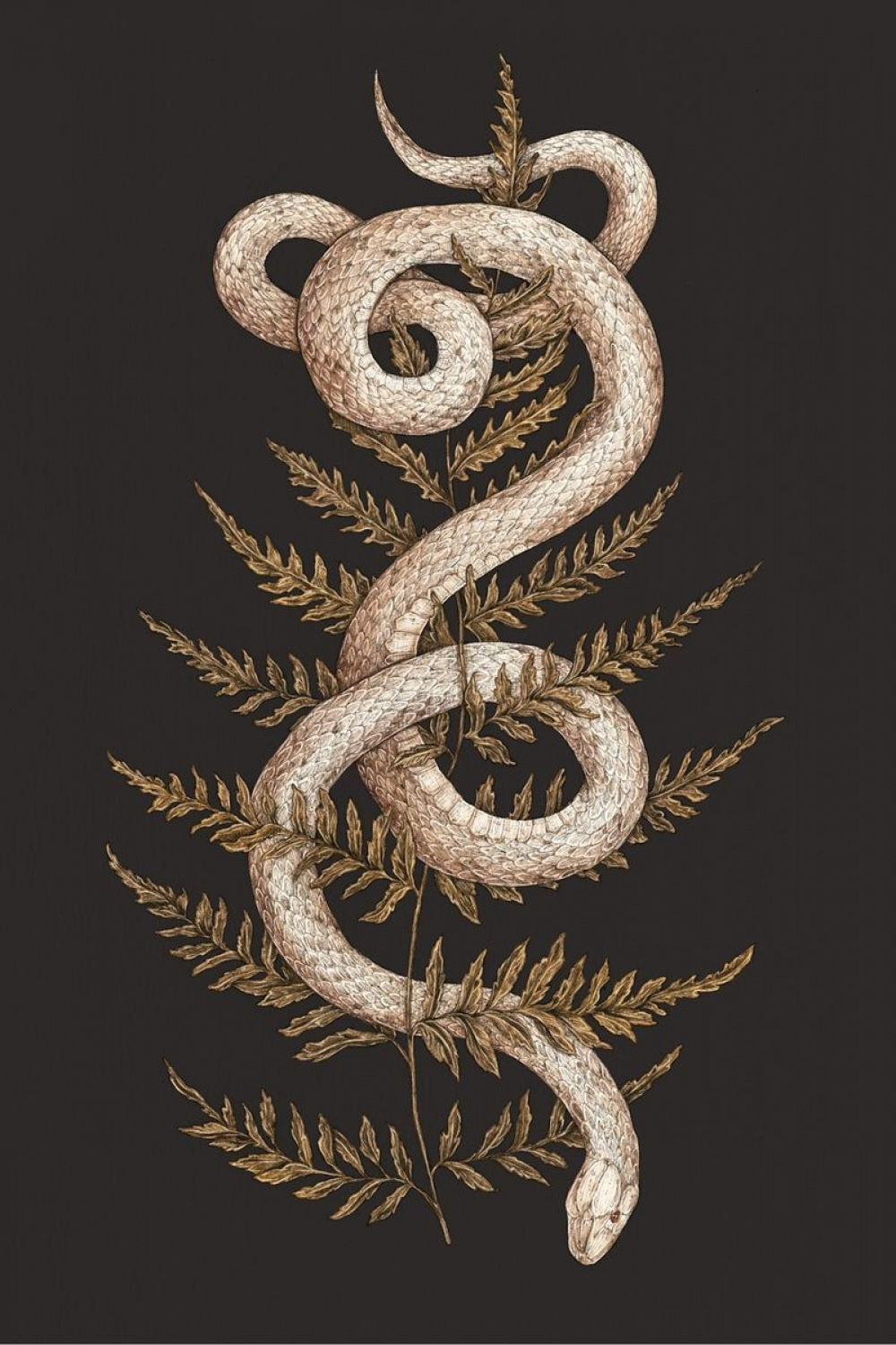 Snake Art Wallpapers - Wallpaper Cave
