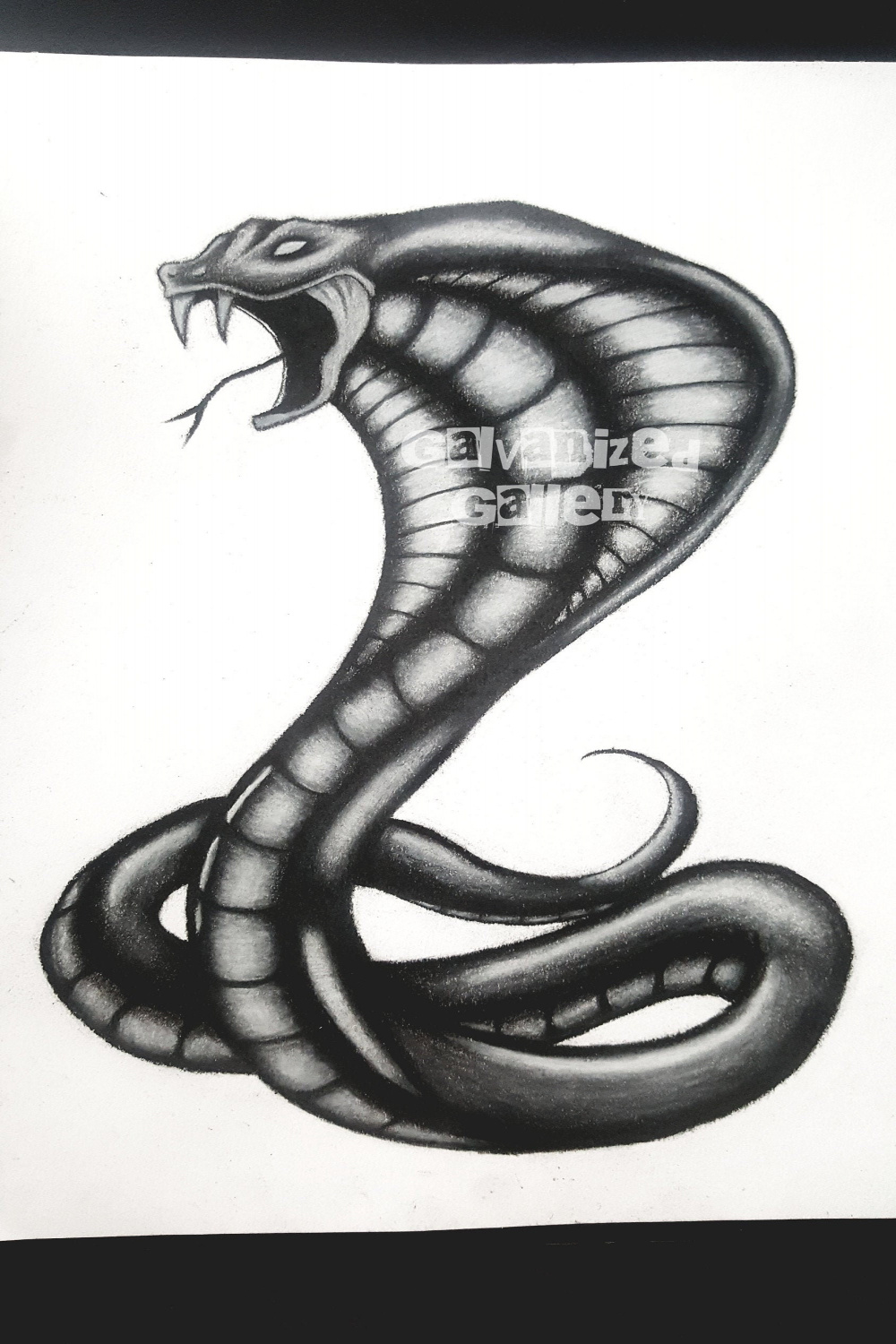 Snake Serpent Charcoal Illustration Drawing Wall Art Digital