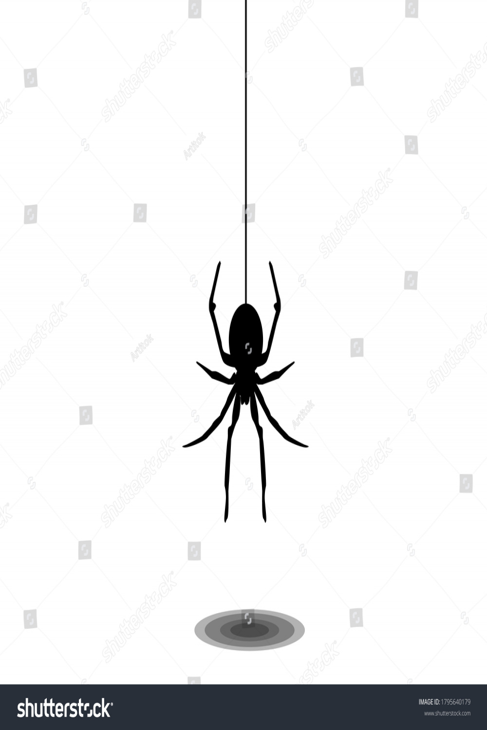 Spider Climbing Spider Web Top Bottomvector Stock Vector (Royalty