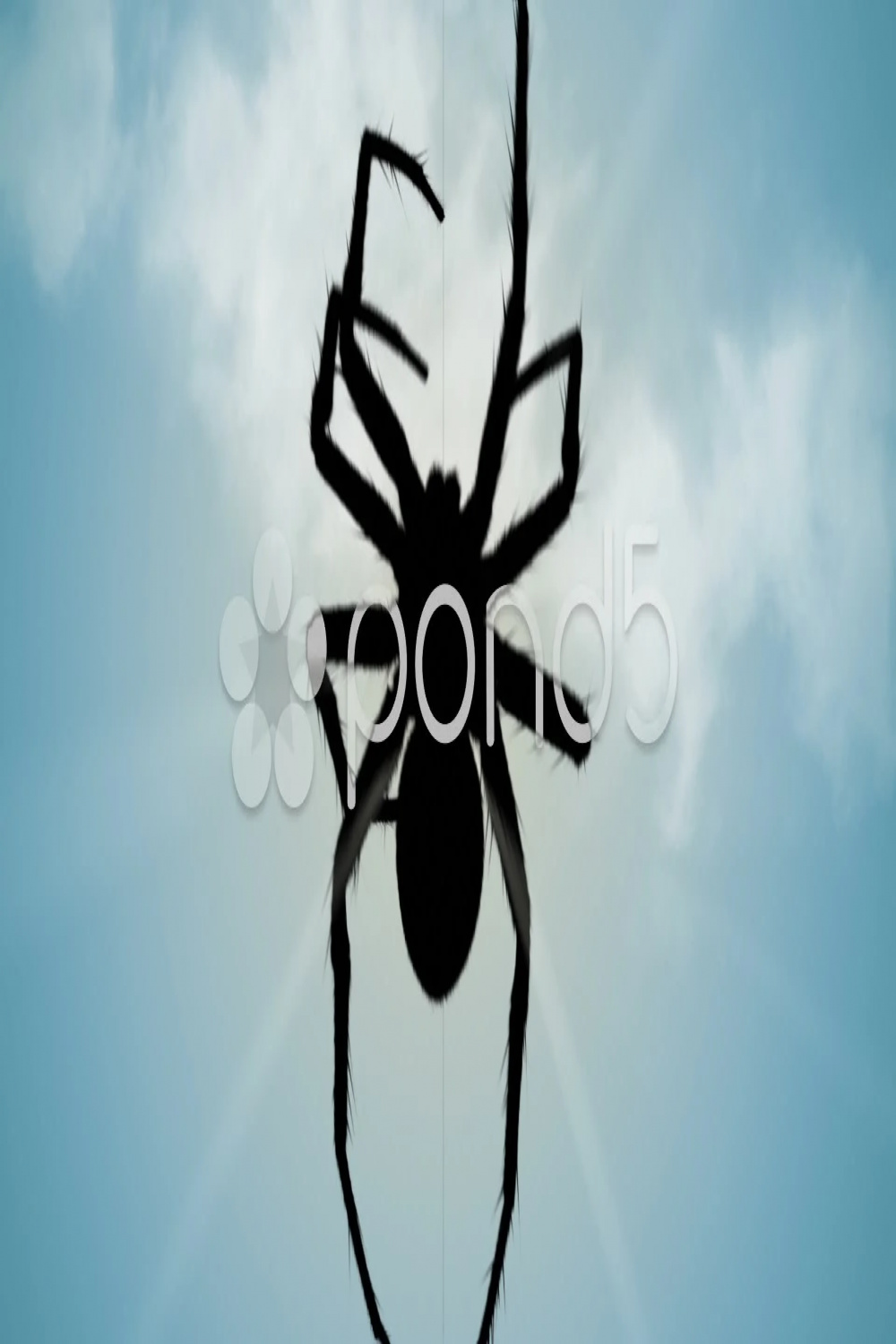 Spider climbing up web scary realistic tarantula arachnid
