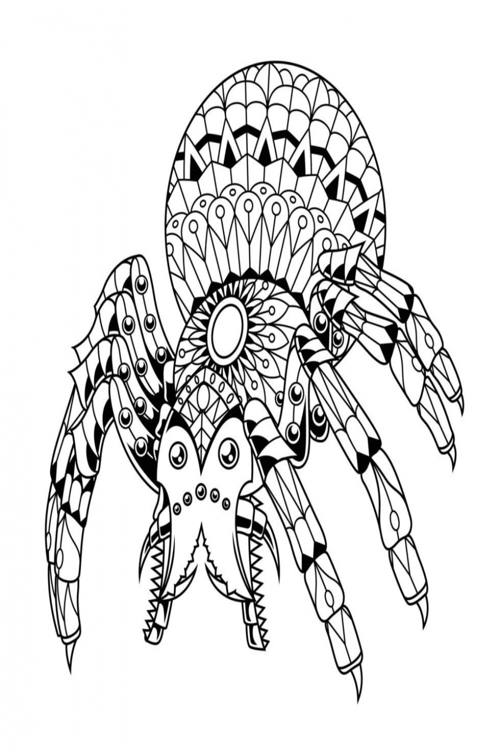 Spider Mandala Vector Art, Icons, and Graphics for Free Download