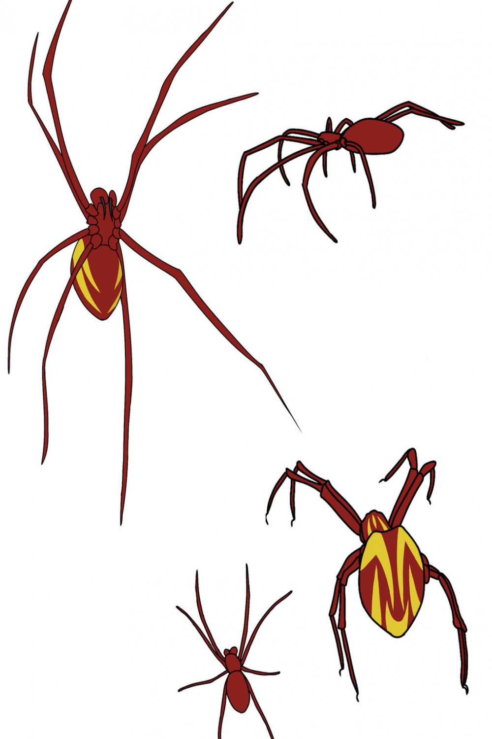 Spider Reference Sheet by TibetDrvilWasp on DeviantArt