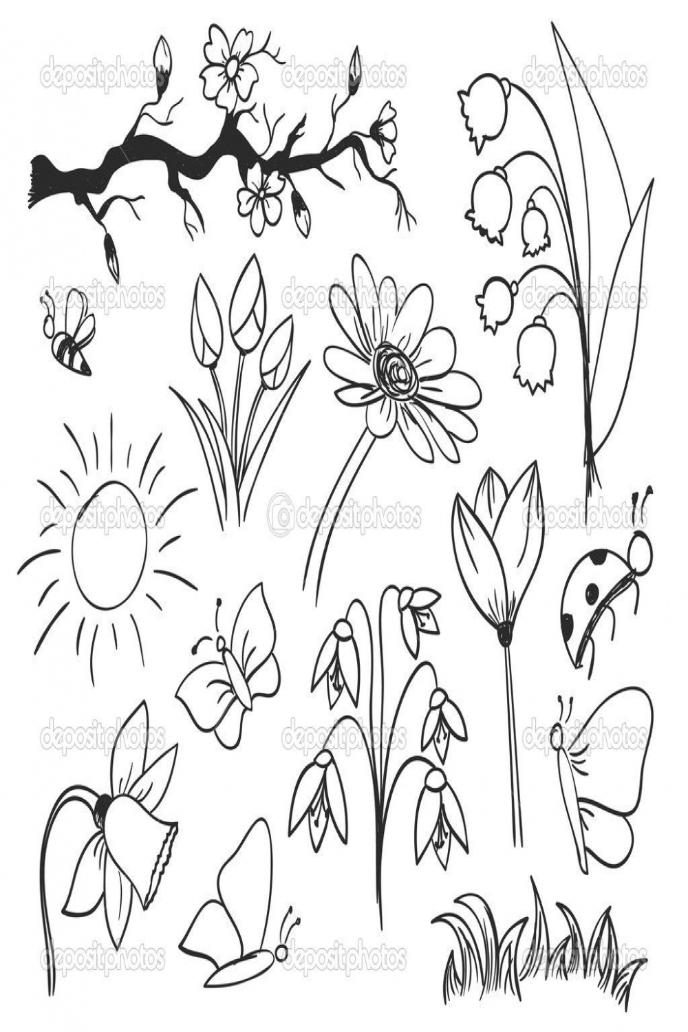 Spring vector sketch flowers  Flower drawing, Spring drawing