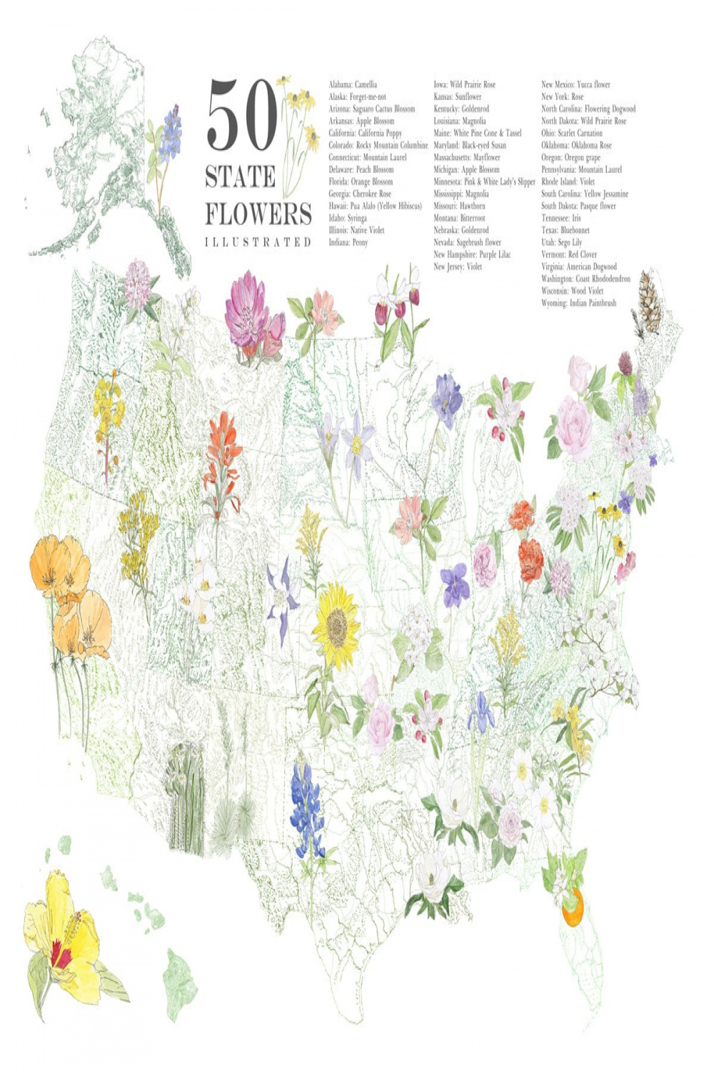 STATE Flowerscape Map Drawing art Print  State Flowers - Etsy