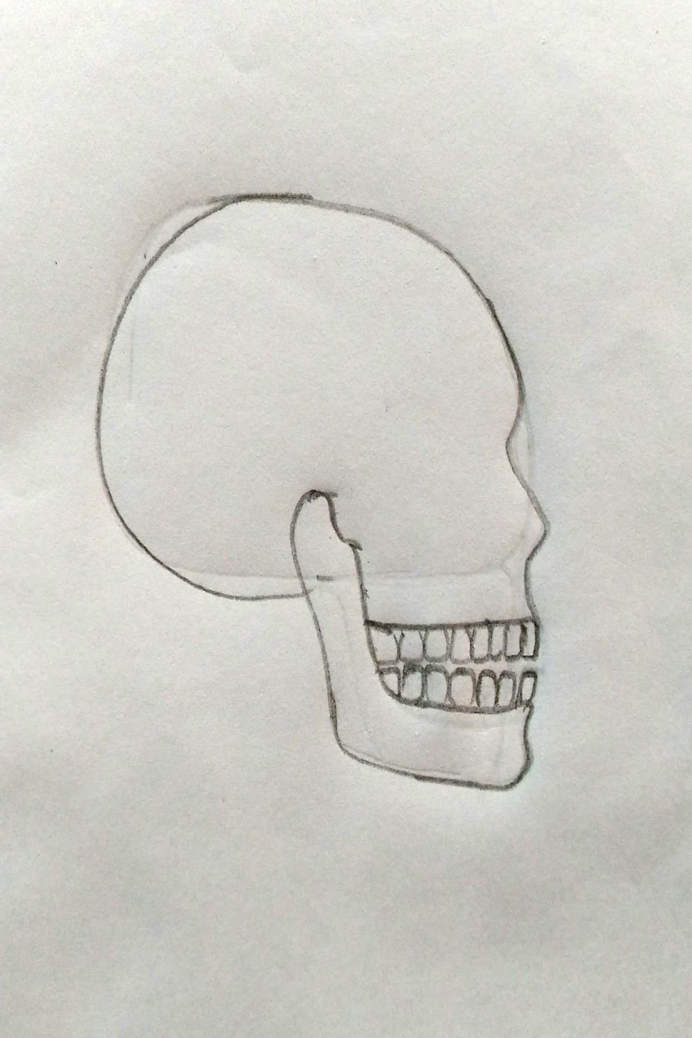 Step by step tutorials on drawing biology diagrams