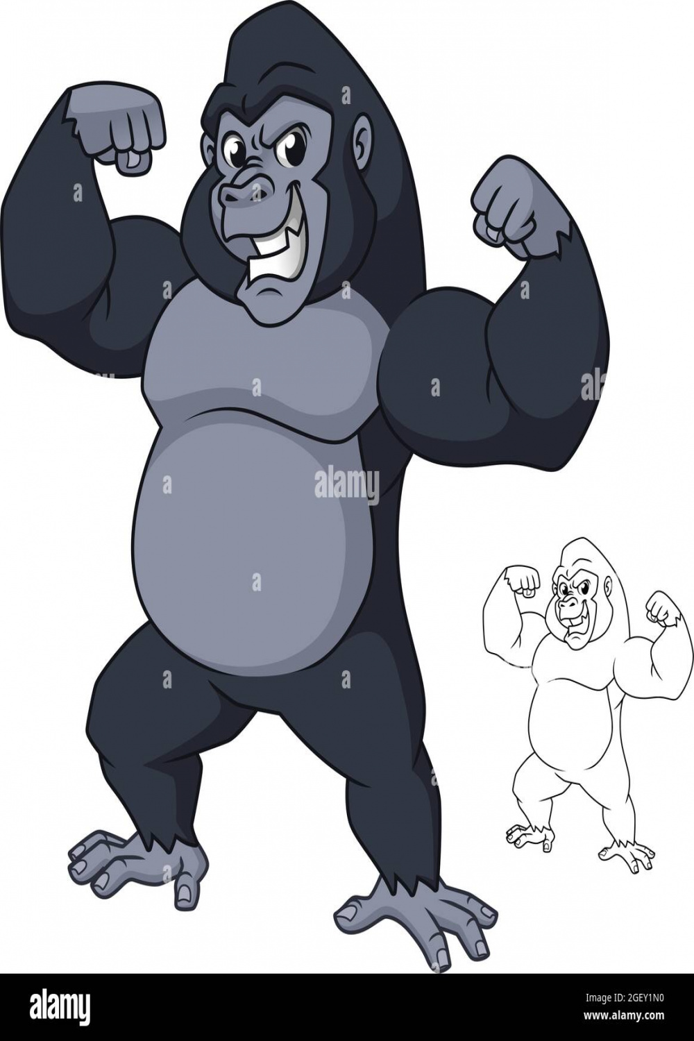 Strong Gorilla Standing Showing Arm Muscles with Line Art Drawing