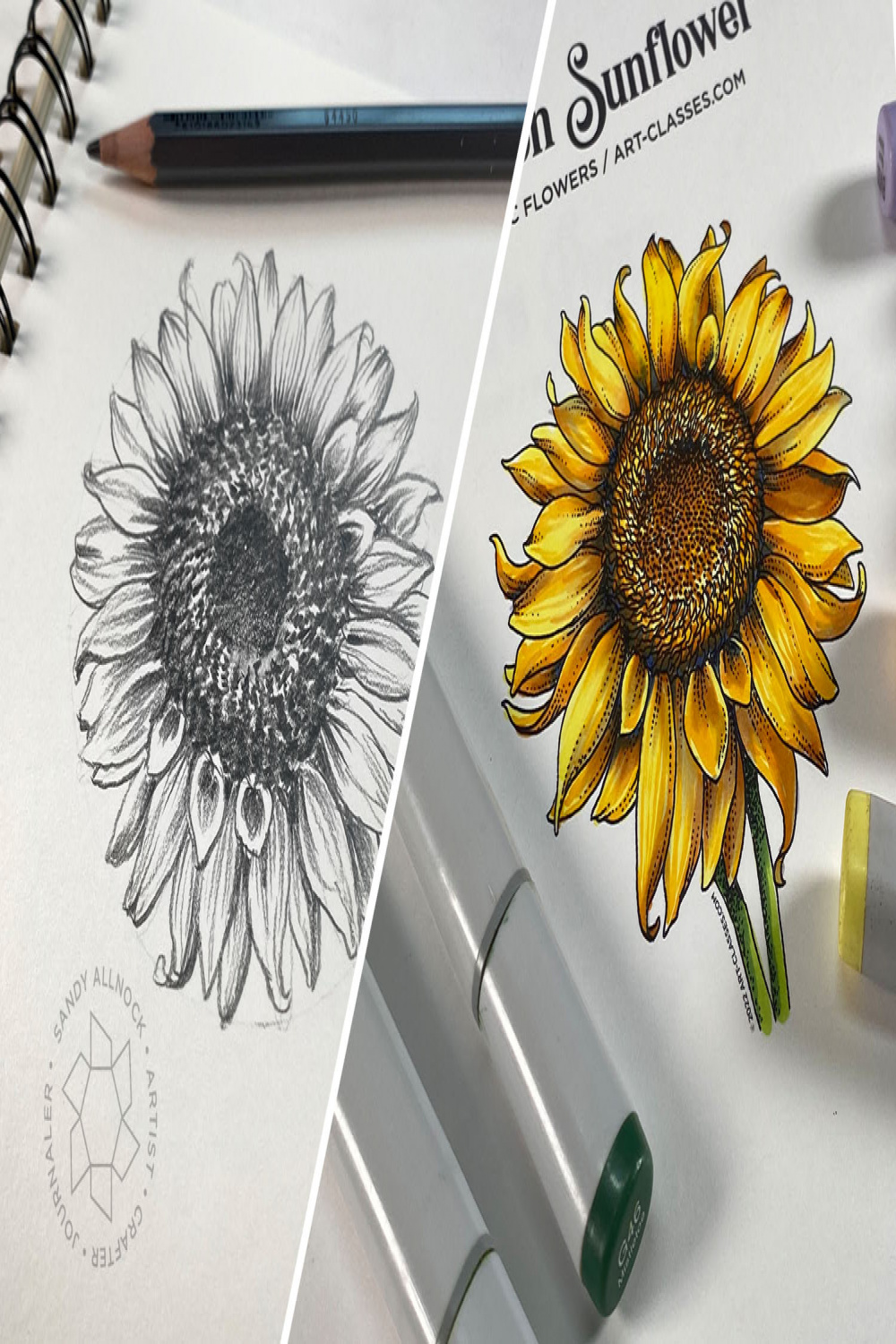 Sunflowers: How to draw one + freebies to color + new Copic flower
