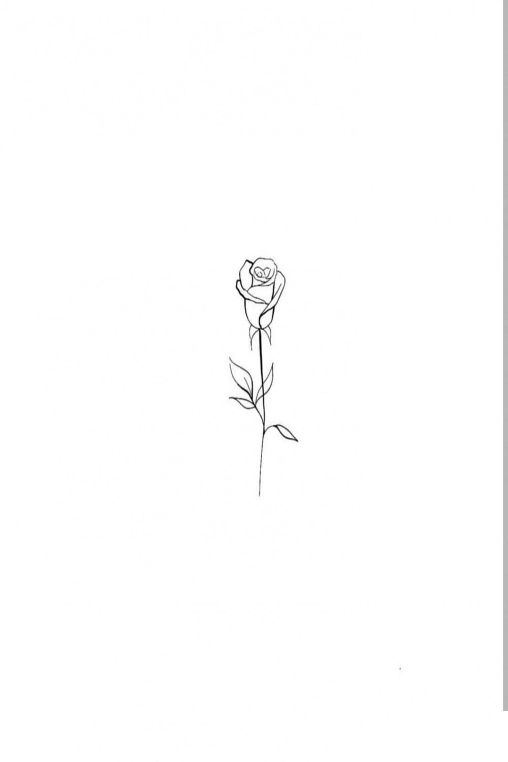Tattoo rose ink  Rose drawing tattoo, Rose tattoos, Ink tattoo
