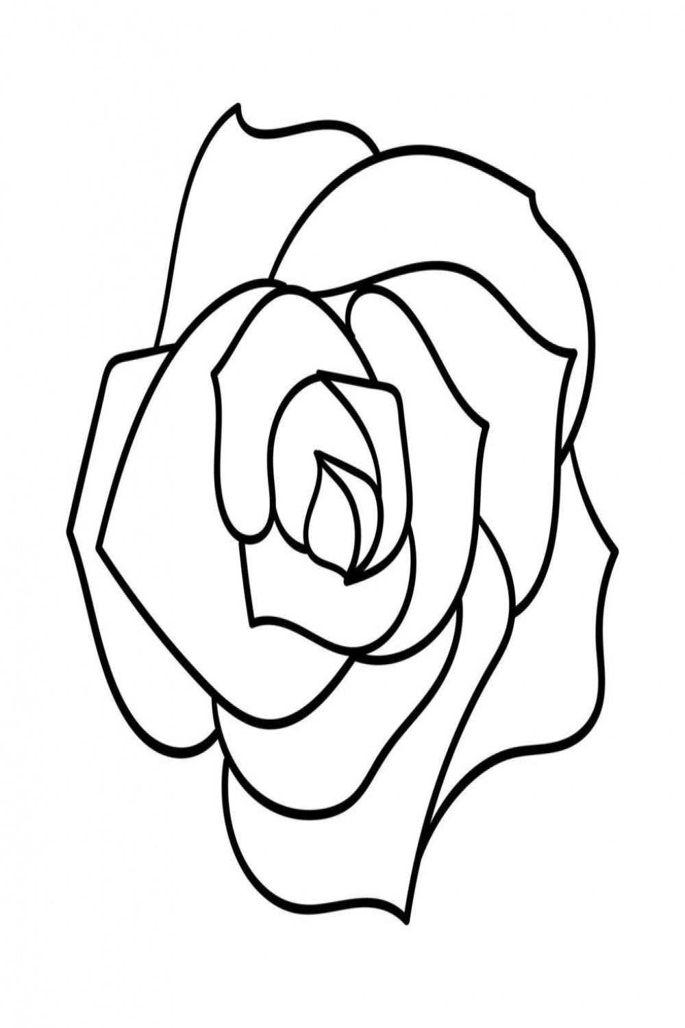 The flower of a blooming rose. The view from the top