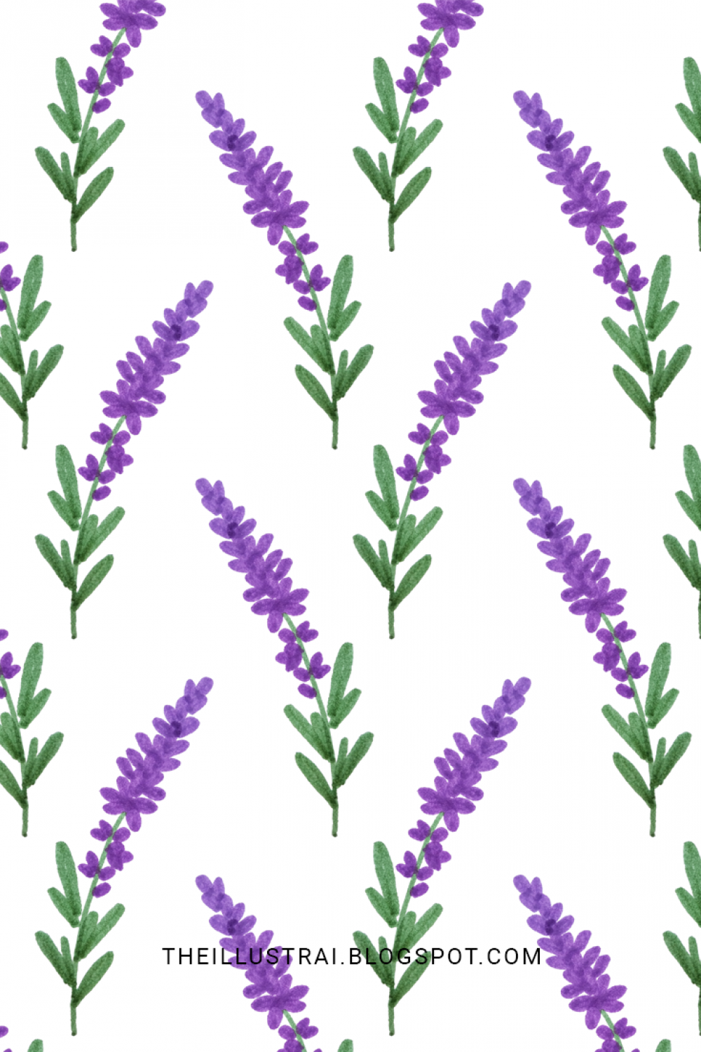 The Illustrai: How to Draw Lavender in  Easy Steps  Flower