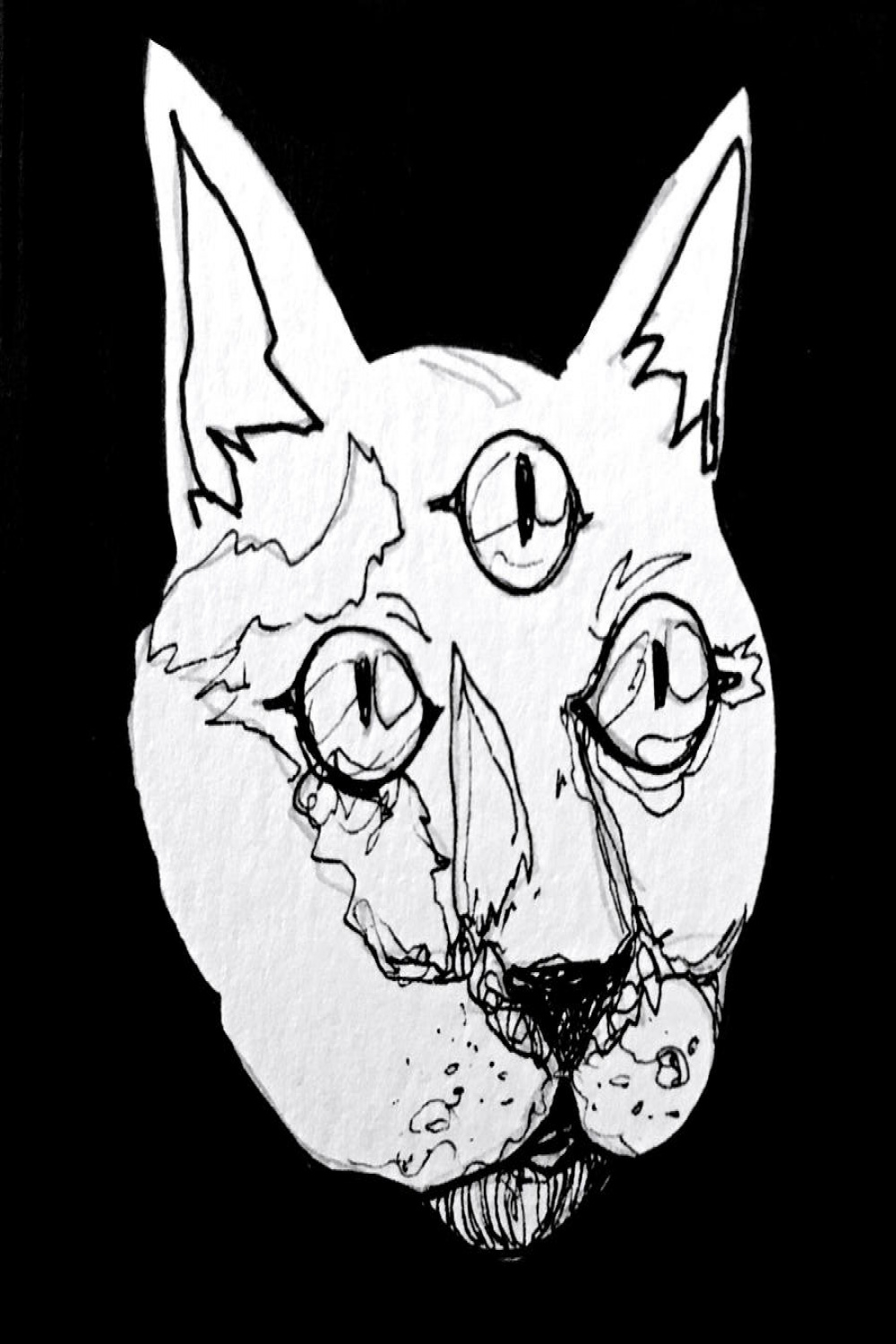 Third Eyed Cat by Sharon Martinez