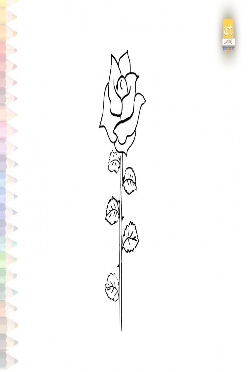 Thorns rose flower drawing  Thorns flowers drawings  How to draw A Rose  step by step