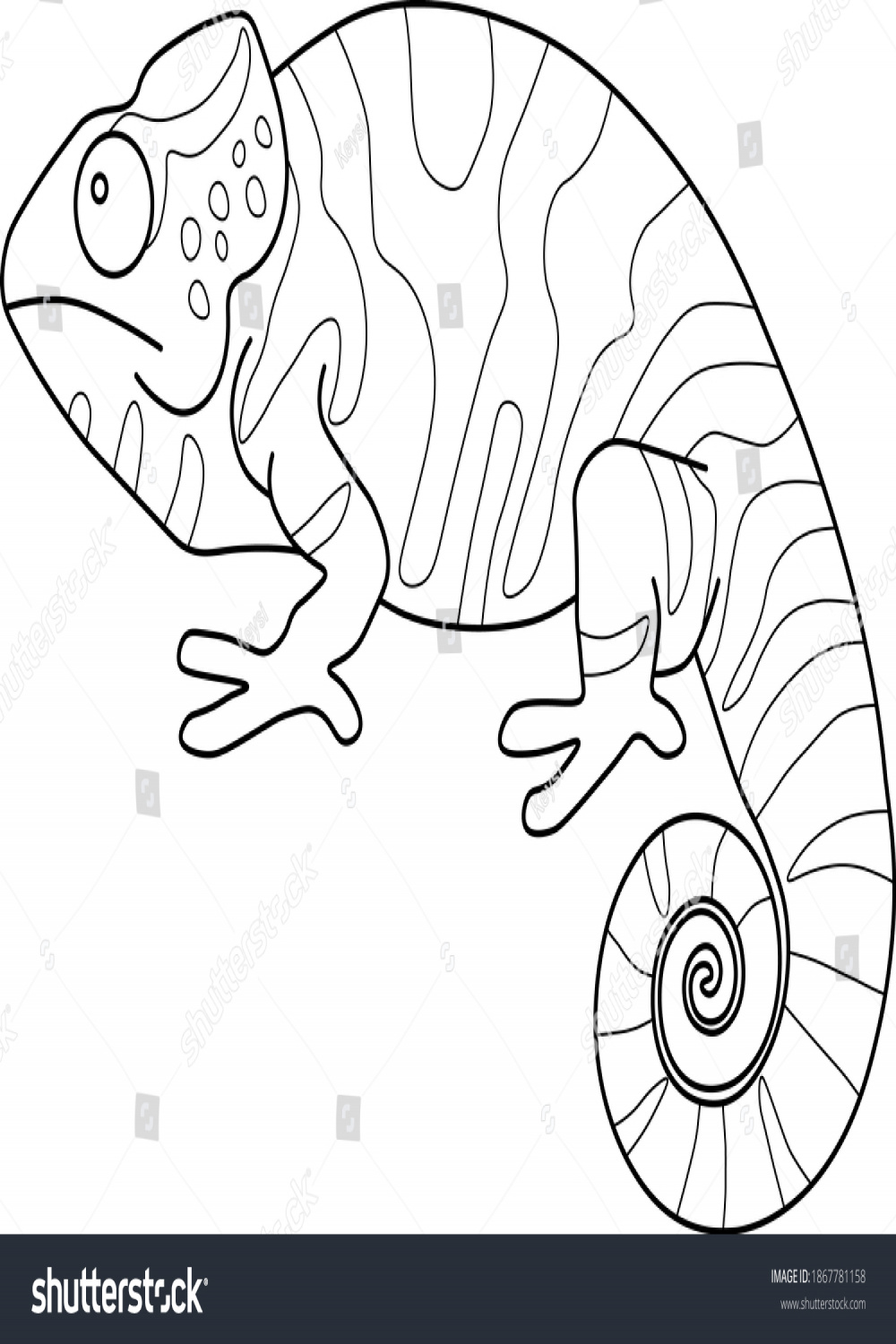 + Thousand Chameleon Drawing Silhouette Royalty-Free Images