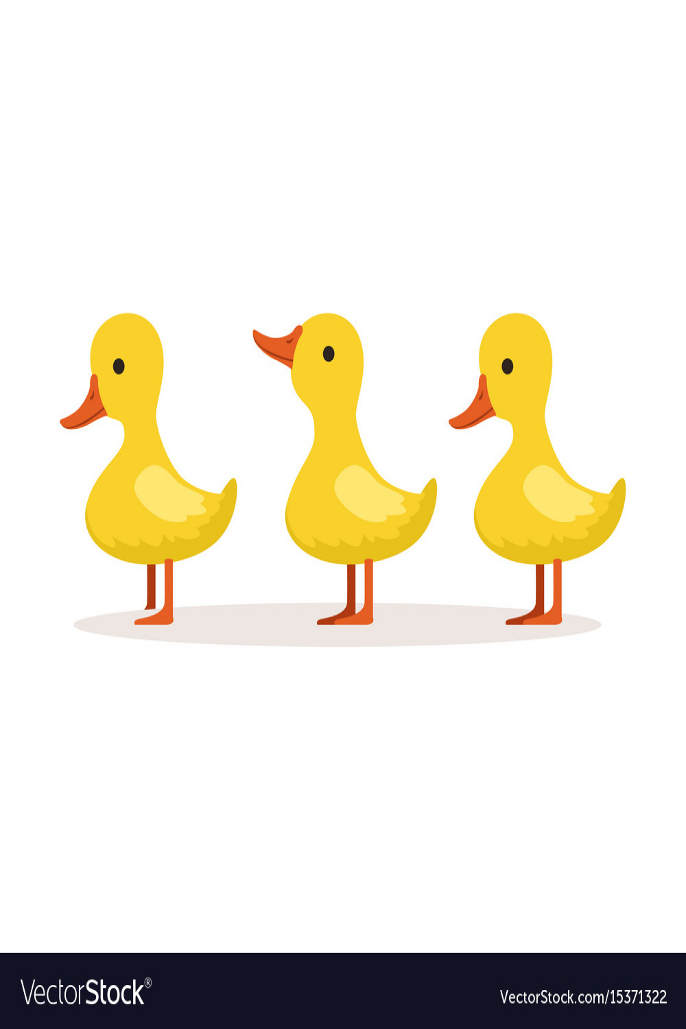 Three cute cartoon ducklings characters standing Vector Image