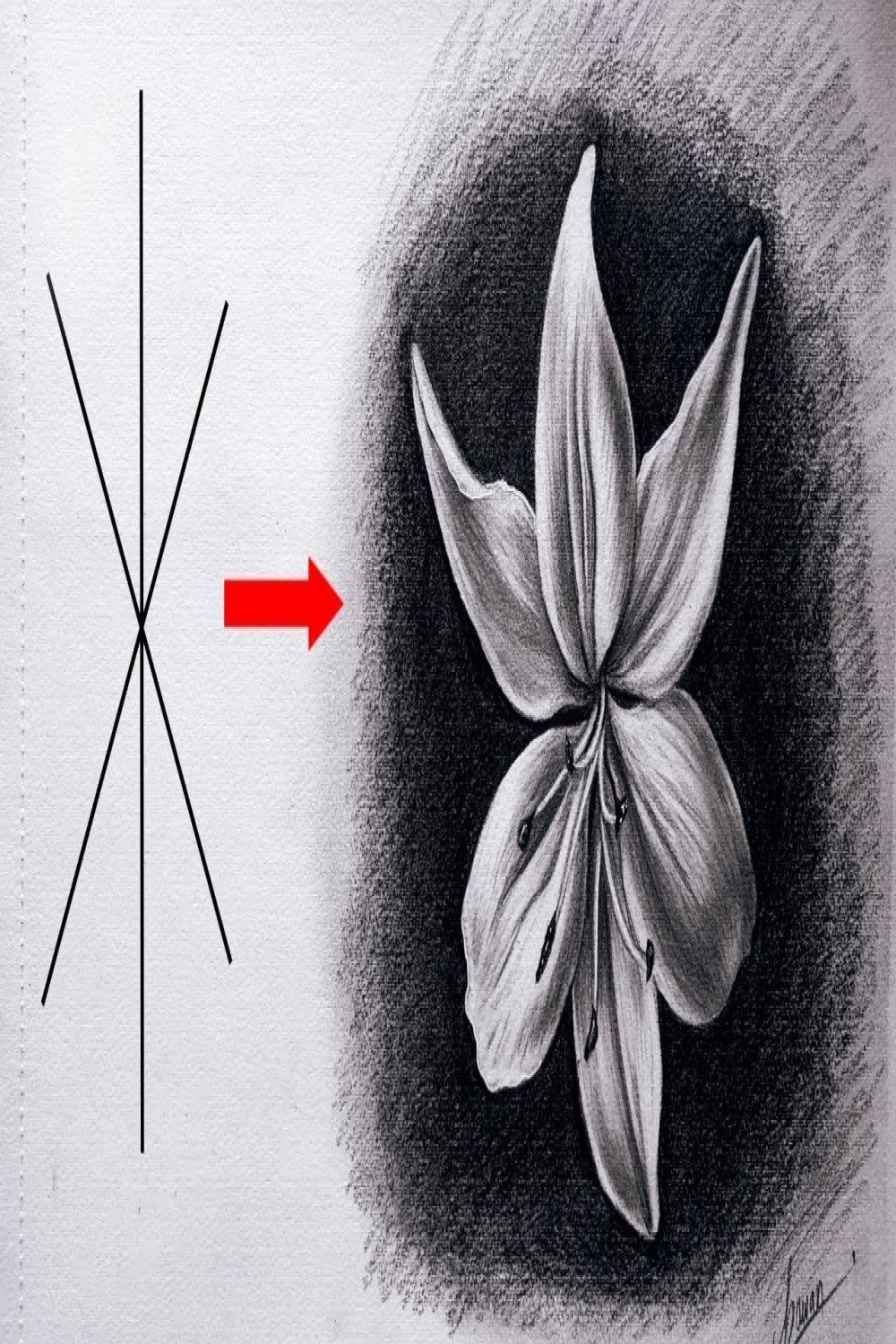Turn X into realistic white flower  step by step  tutorial for kids and  beginners.