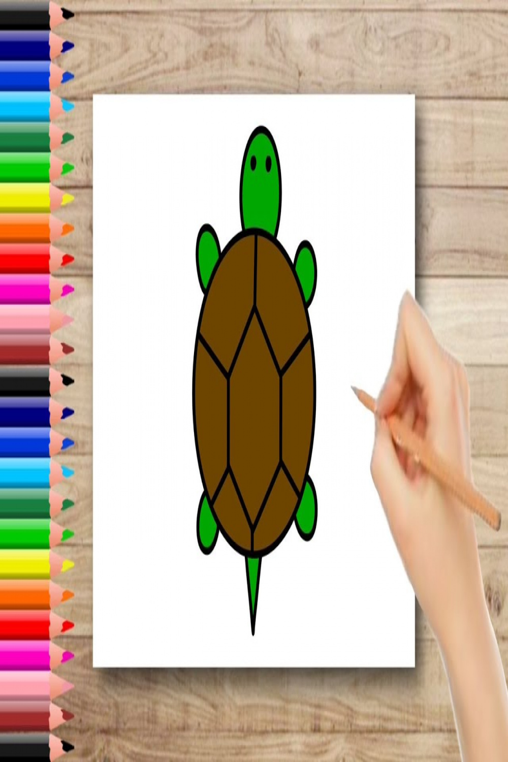 Turtle Drawing Easy  How To Draw Turtle For Kids
