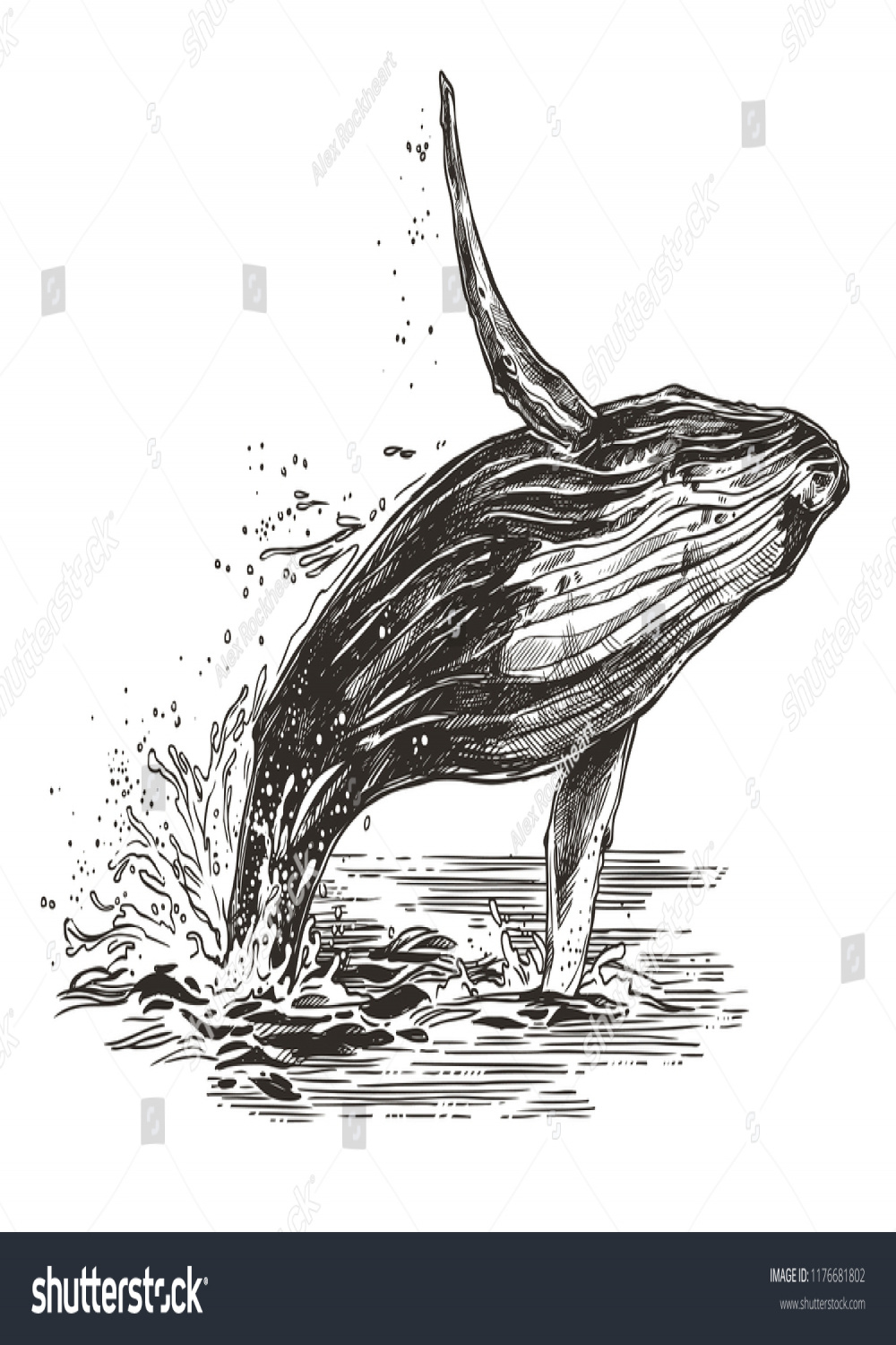 Vector Illustration Jumping Humpback Whale Ocean Stock Vector