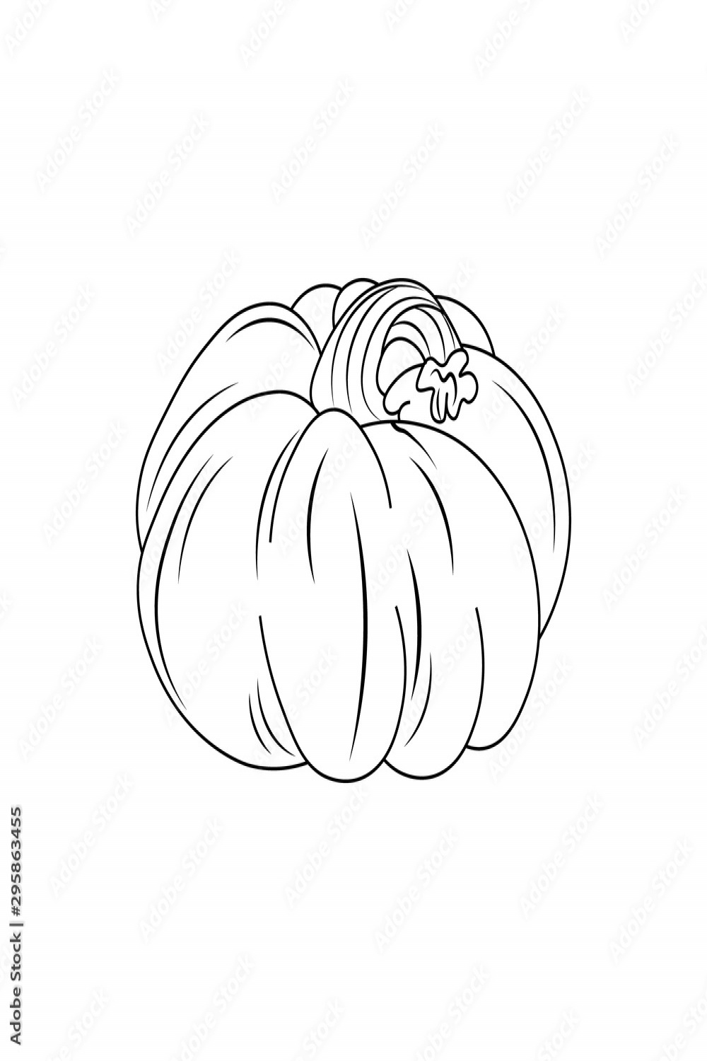 vector pumpkin or squash outline illustration isolated on white