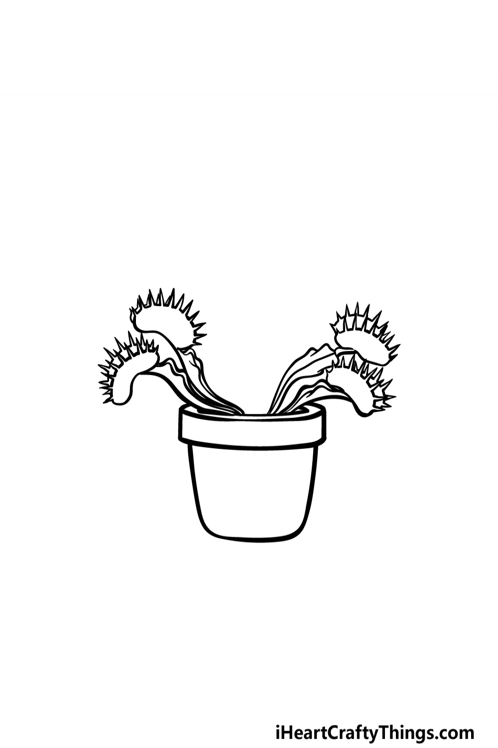 Venus Fly Trap Drawing - How To Draw A Venus Fly Trap Step By Step