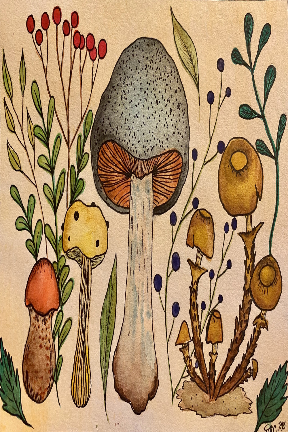 Vintage Mushroom Art