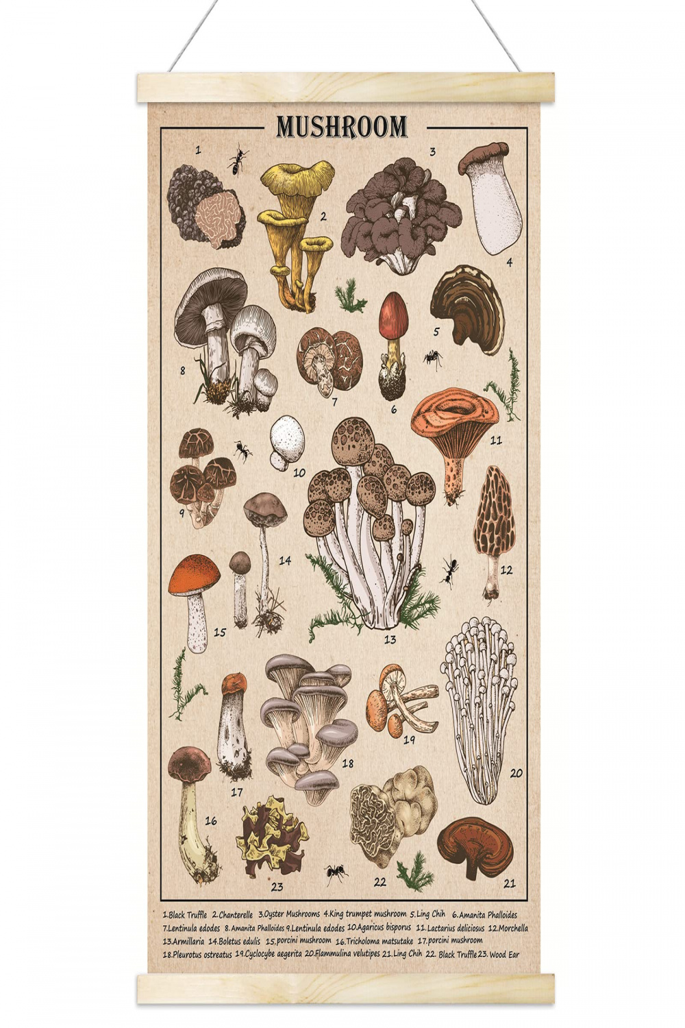 Vintage Mushroom Posters Mushroom Wall Art Prints Colorful Rustic Mushroom  Style Wall Hanging Illustrated Reference Chart Posters for Living Room