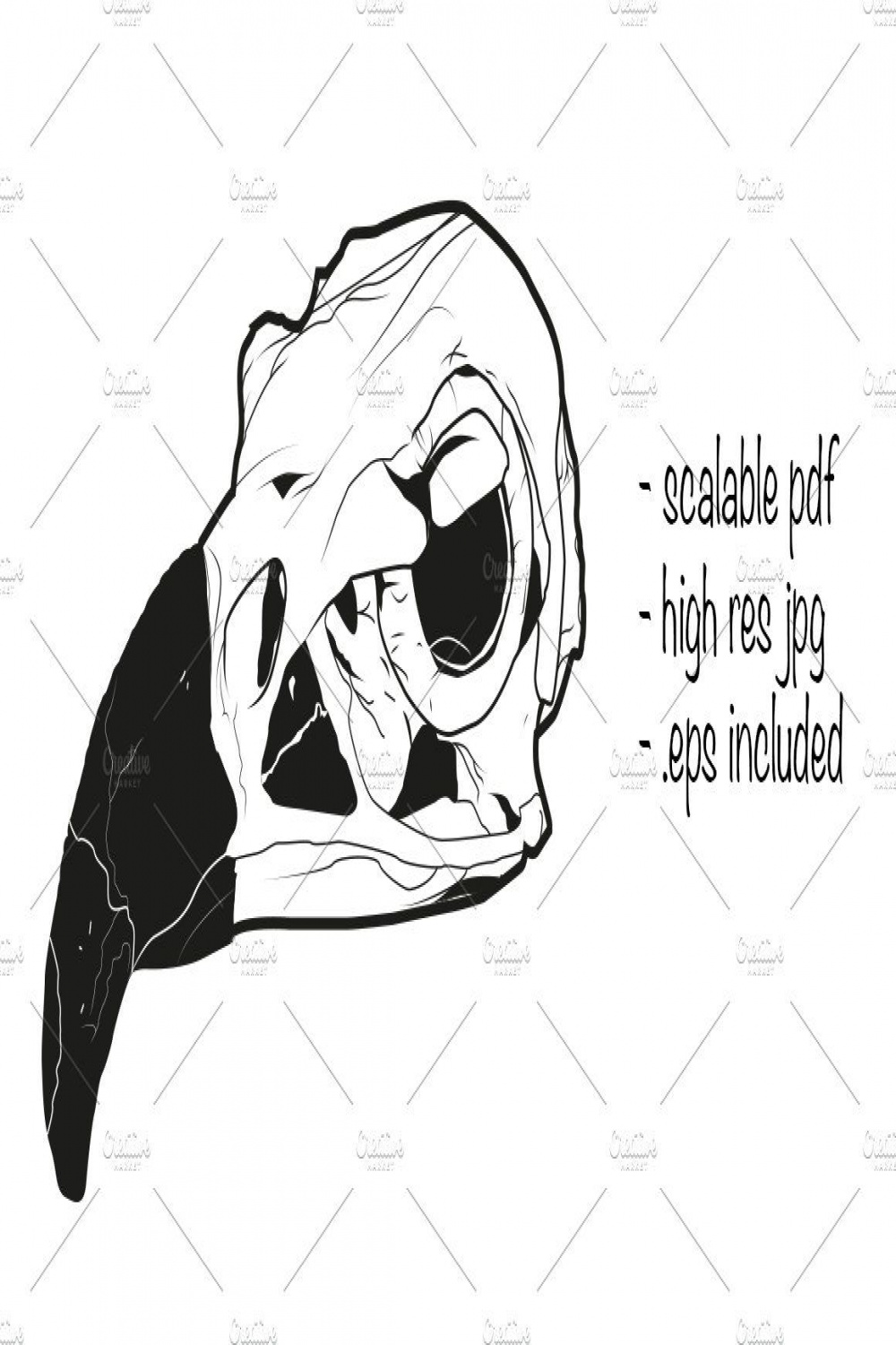 Vulture skull illustration  Skull illustration, Illustration