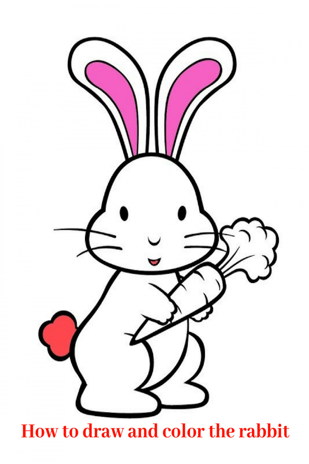 Watch How to draw and color the rabbit  Prime Video