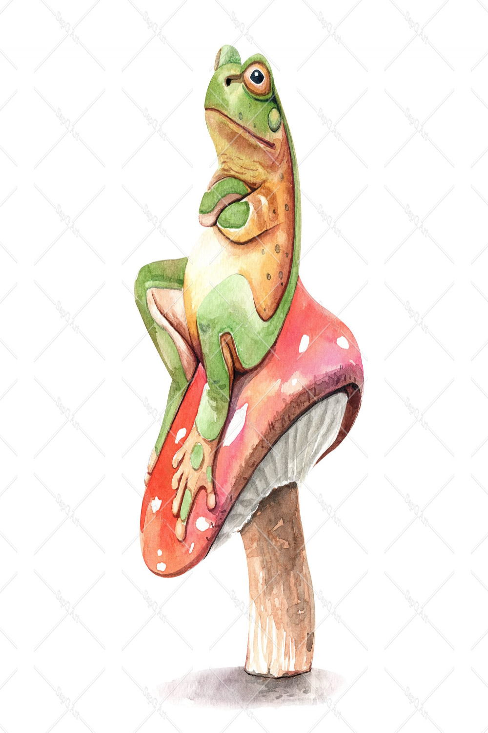 Watercolor Frog on Mushroom Illustration