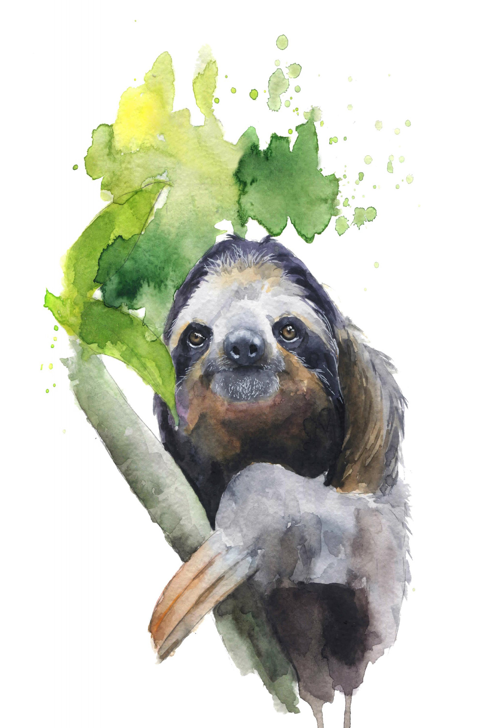 Watercolor Sloth, by me,  : r/Art