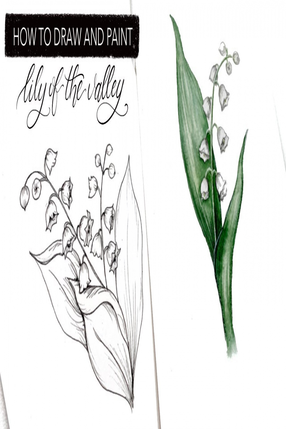 Watercolour Lily Of The Valley: How To Draw And Paint May’s Birth Month  Flower
