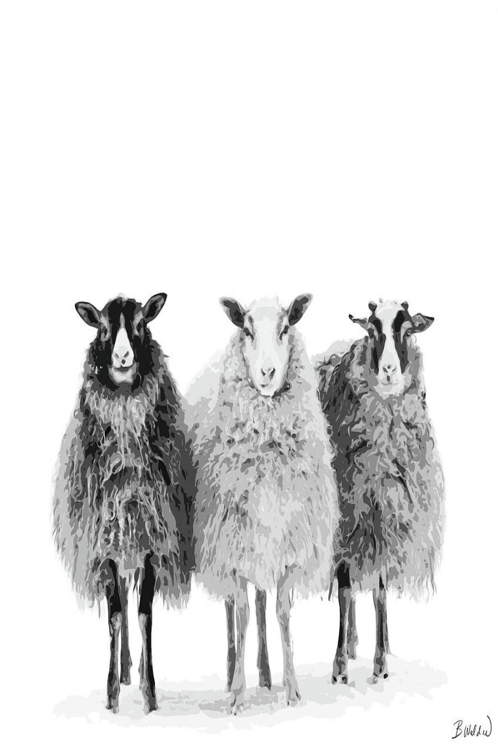 We Three Sheep by Boughton Walden