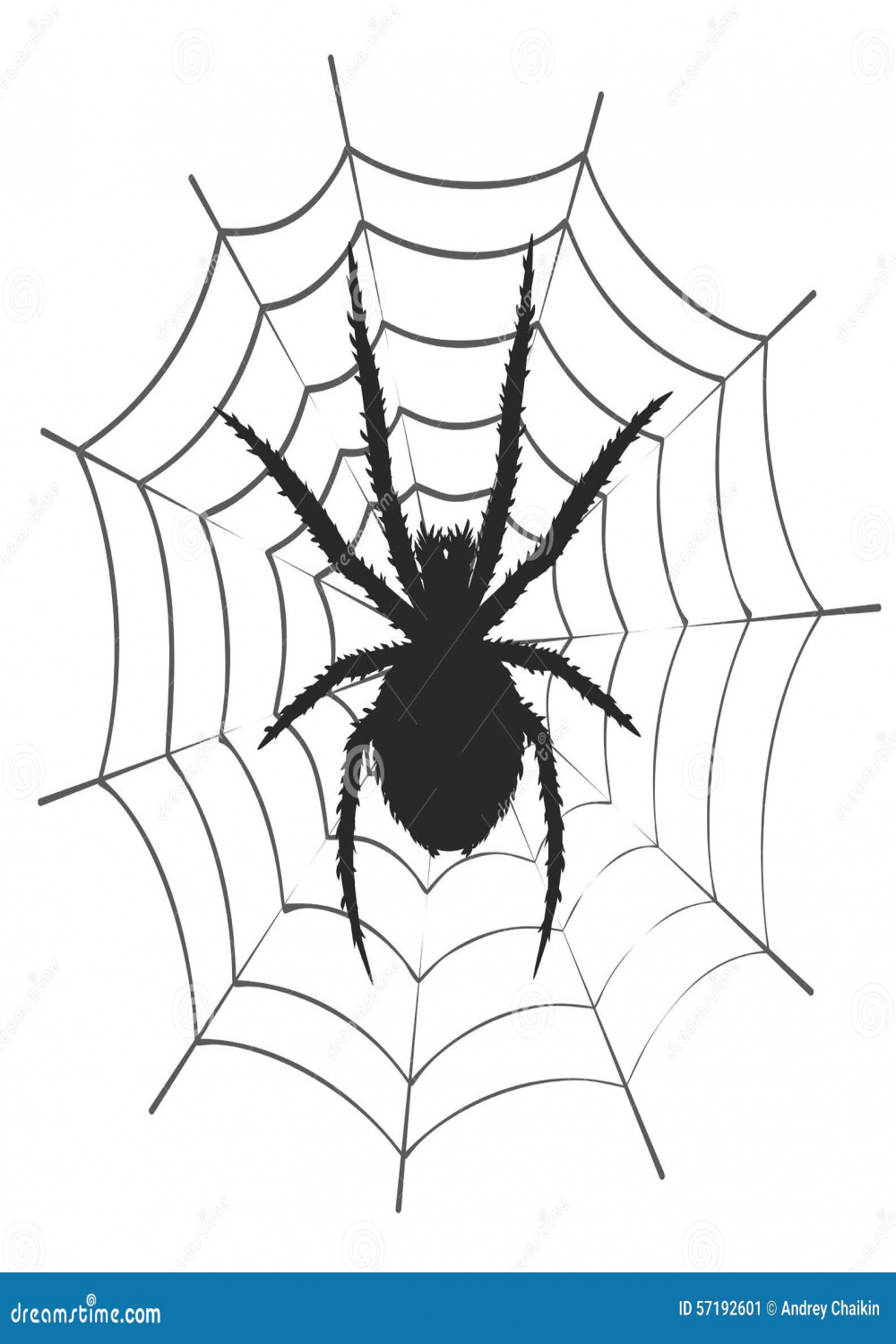 Web with a spider. stock vector